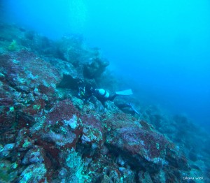 DCIM100GOPROGOPR1514.JPG