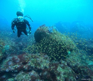 DCIM100GOPROGOPR1555.JPG