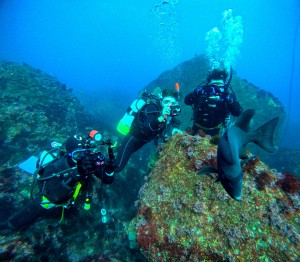 GOPR2693