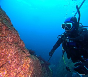 DCIM100GOPROGOPR2831.JPG