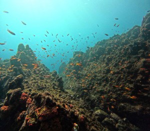 DCIM100GOPROGOPR5860.JPG