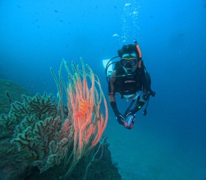 DCIM100GOPROGOPR5900.JPG