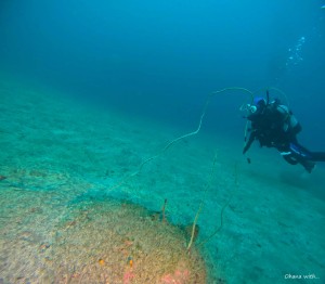 DCIM100GOPROGOPR6045.JPG