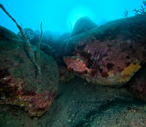 DCIM100GOPROGOPR6050.JPG