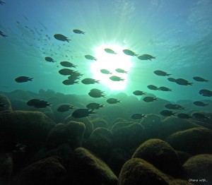 DCIM100GOPROGOPR6069.JPG