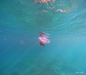 DCIM100GOPROGOPR6078.JPG