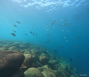 DCIM100GOPROGOPR6091.JPG