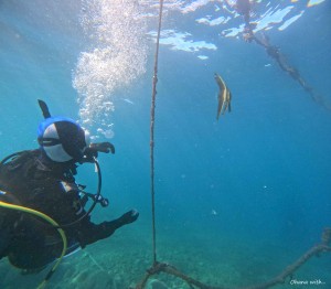 DCIM100GOPROGOPR6115.JPG