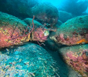 DCIM100GOPROGOPR6136.JPG