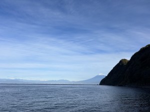 line_oa_chat_241211_170847