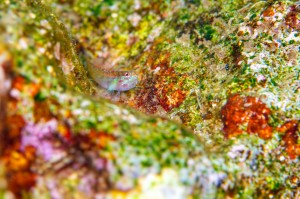 DSC06116