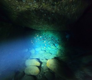DCIM100GOPROGOPR2266.JPG