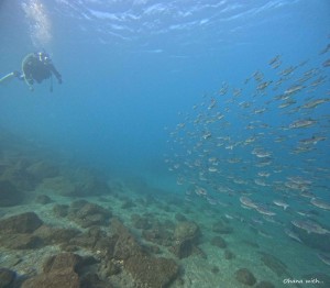 DCIM100GOPROGOPR3157.JPG