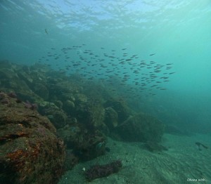 DCIM100GOPROGOPR3187.JPG