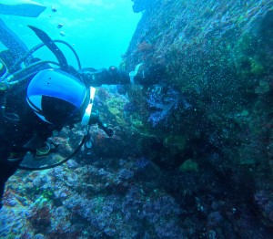 DCIM100GOPROGOPR6994.JPG