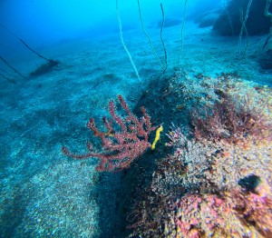 DCIM100GOPROGOPR7114.JPG