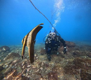 DCIM100GOPROGOPR7170.JPG