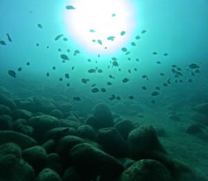 DCIM100GOPROGOPR7198.JPG