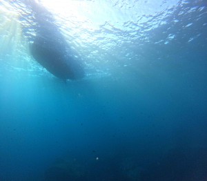 DCIM100GOPROGOPR7307.JPG