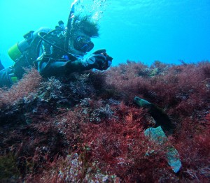 DCIM100GOPROGOPR7357.JPG