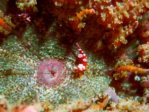 P1274304