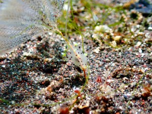 line_oa_chat_250129_171818