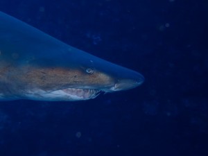LINE_ALBUM_おが海_250218_10