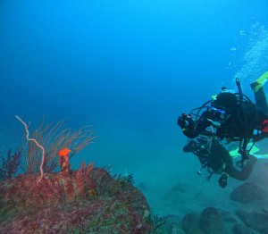 DCIM100GOPROGOPR2352.JPG