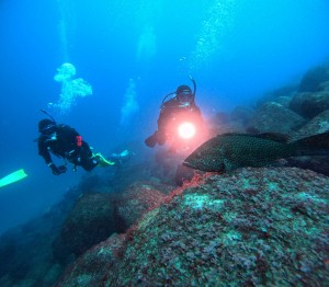 DCIM100GOPROGOPR2354.JPG