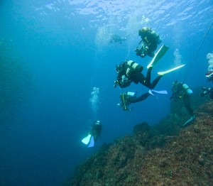 GOPR3798