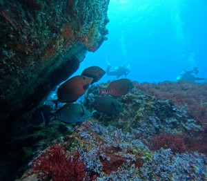 DCIM100GOPROGOPR3916.JPG