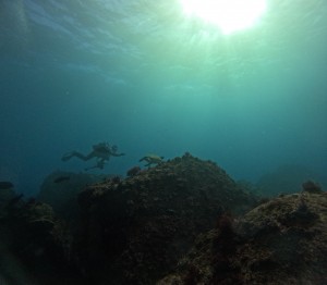LINE_ALBUM_20250225_250225_11