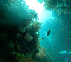 S__259317813