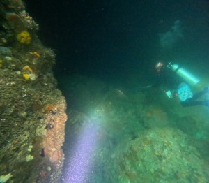 S__259317820
