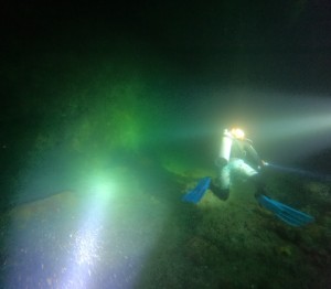 S__259317822