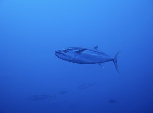 S__63422514