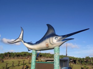 S__63422518