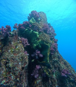 DCIM100GOPROGOPR3833.JPG