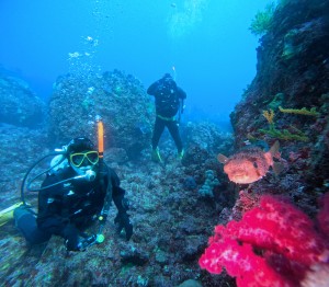DCIM100GOPROGOPR3802.JPG