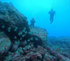 DCIM100GOPROGOPR3808.JPG