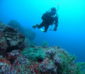 DCIM100GOPROGOPR3812.JPG