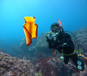 DCIM100GOPROGOPR3844.JPG