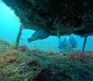 DCIM100GOPROGOPR3864.JPG