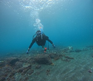 DCIM100GOPROGOPR3943.JPG