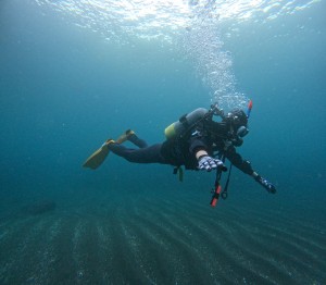 DCIM100GOPROGOPR3946.JPG