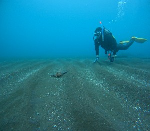 DCIM100GOPROGOPR3948.JPG