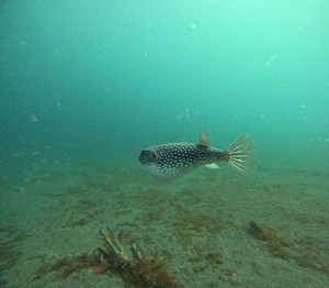 DCIM100GOPROGOPR3967.JPG
