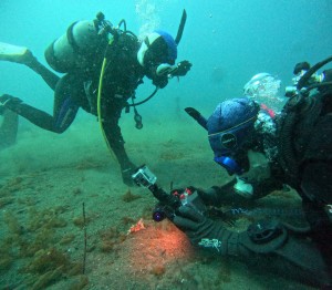 DCIM100GOPROGOPR3973.JPG