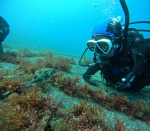 DCIM100GOPROGOPR3984.JPG