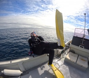 DCIM100GOPROGOPR3986.JPG